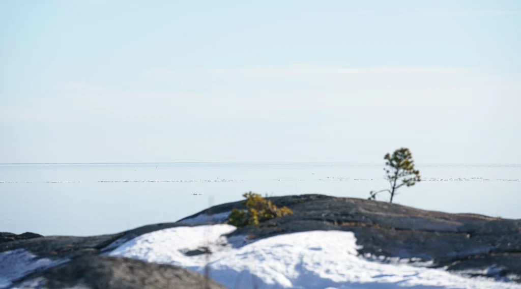 Skandinavisk kust.